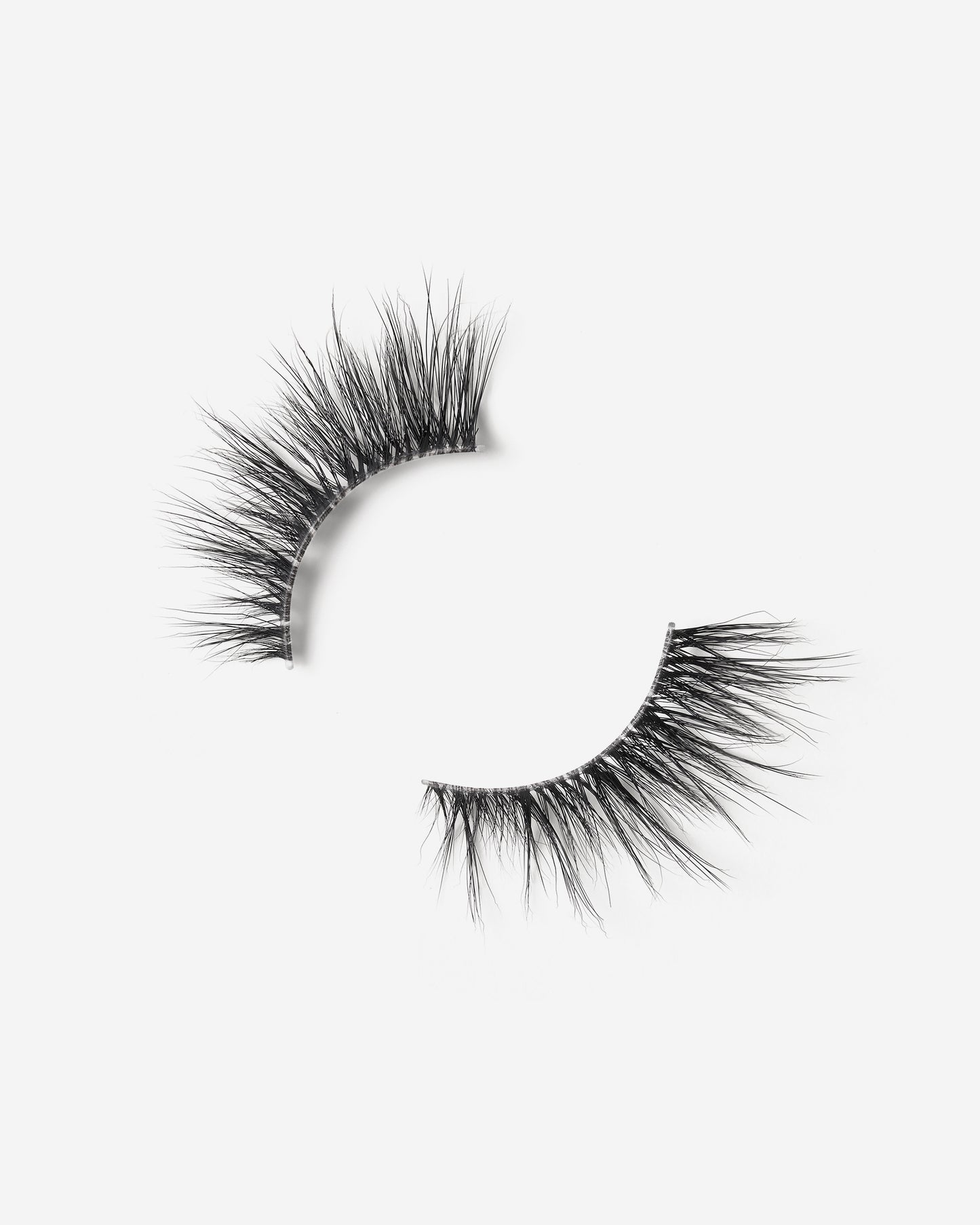 Lilly Lashes | Sheer Band | Enticing