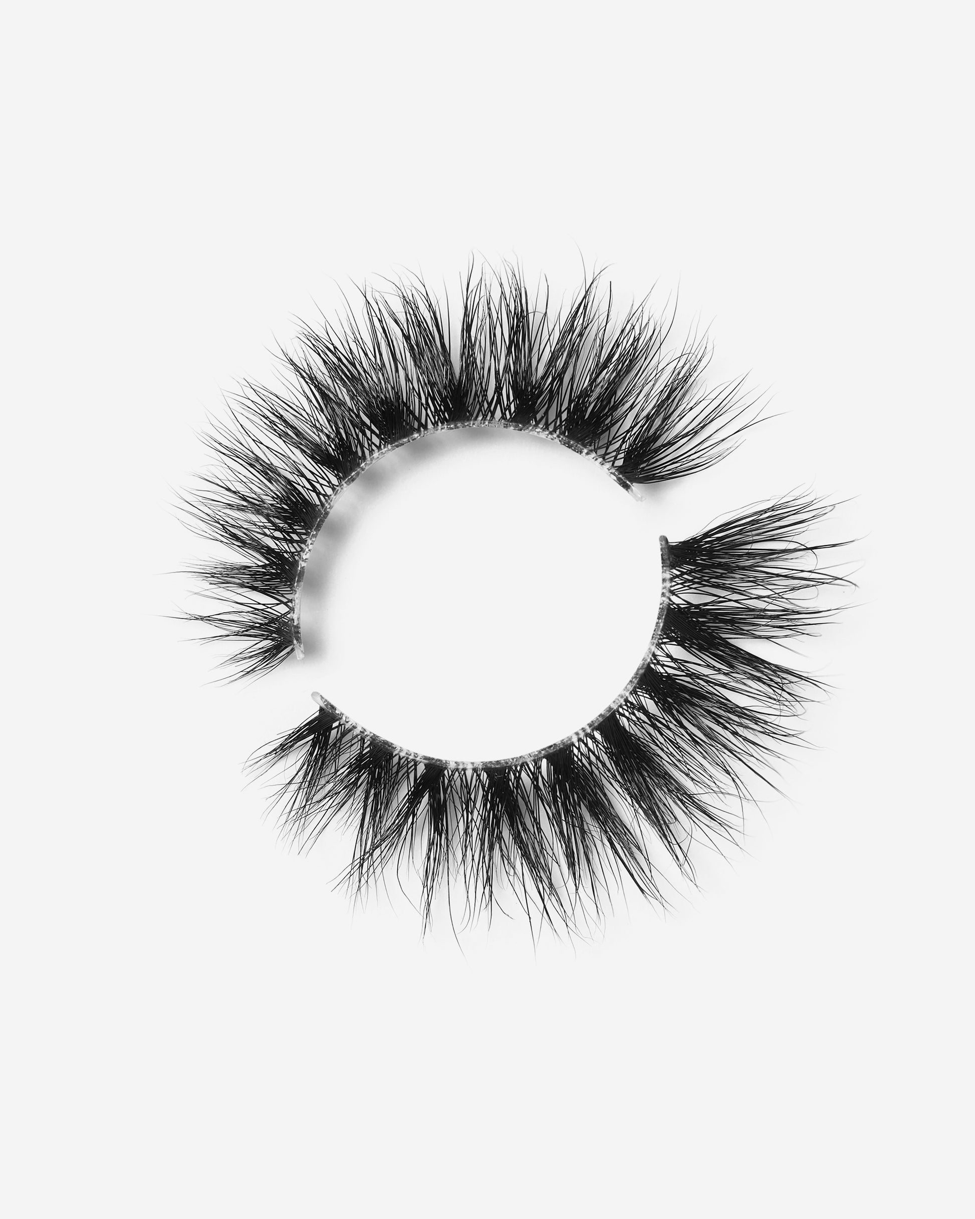 Lilly Lashes | Sheer Band | Passionate | Lash Round