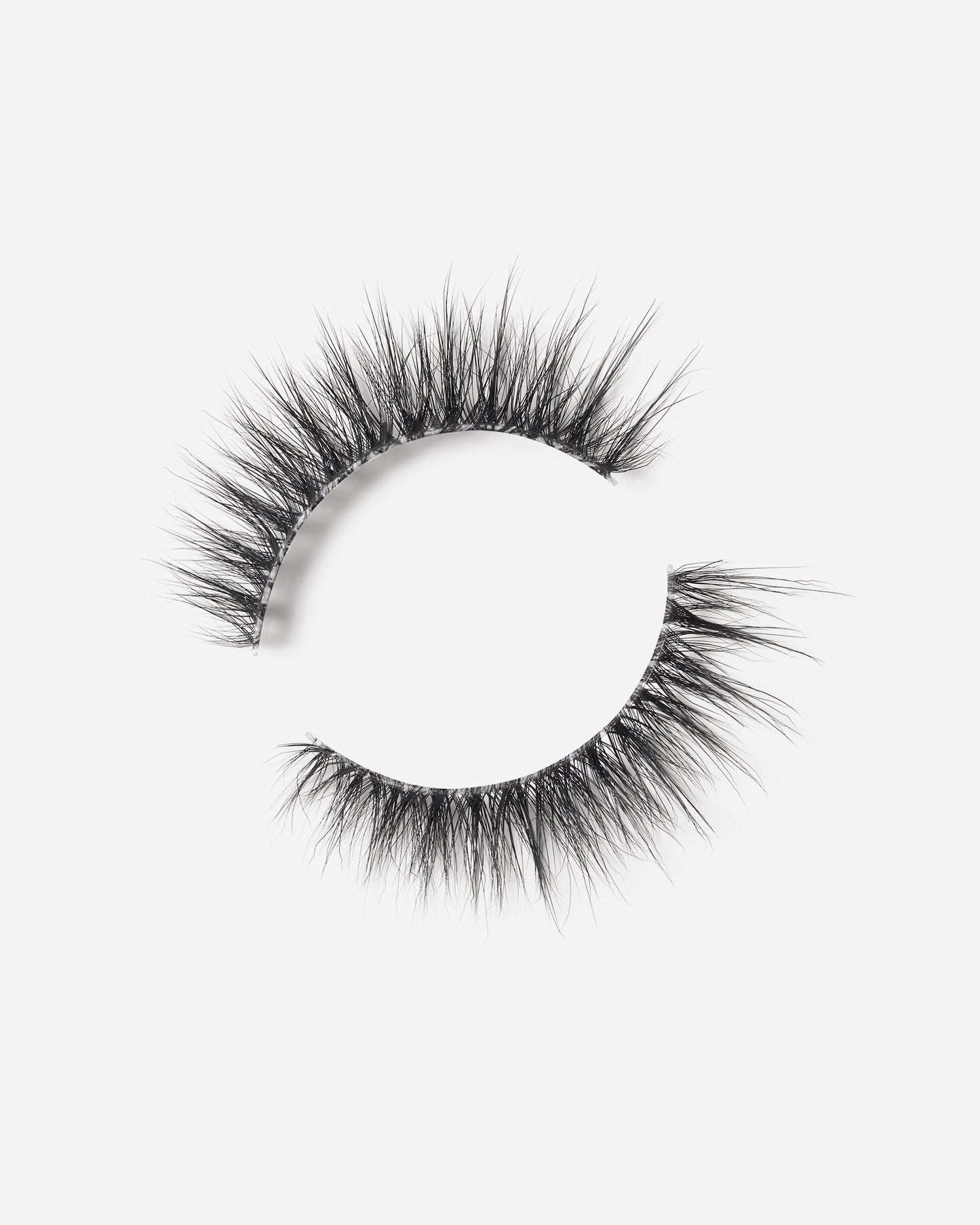 Lilly Lashes | Sheer Band | Persuasive | Lash Round