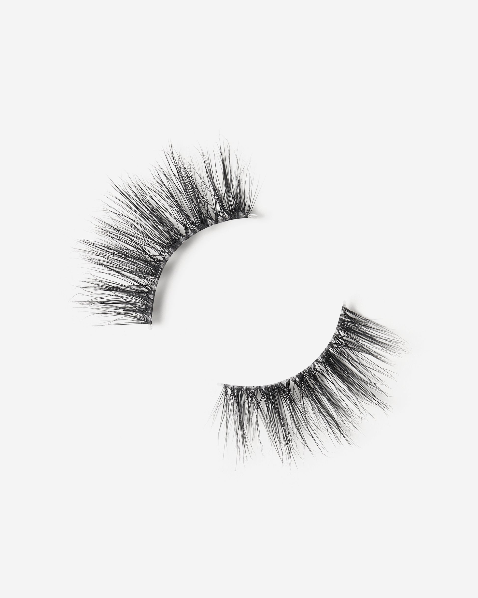 Lilly Lashes | Sheer Band | Playful | Lash Round