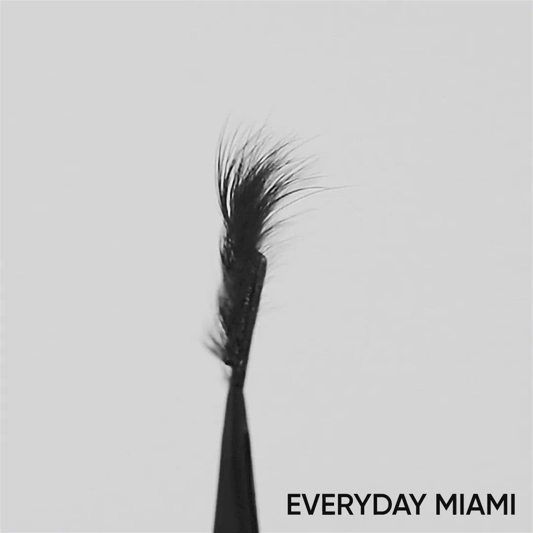 Lilly Lashes | Everyday- Everyday Miami rotating lash