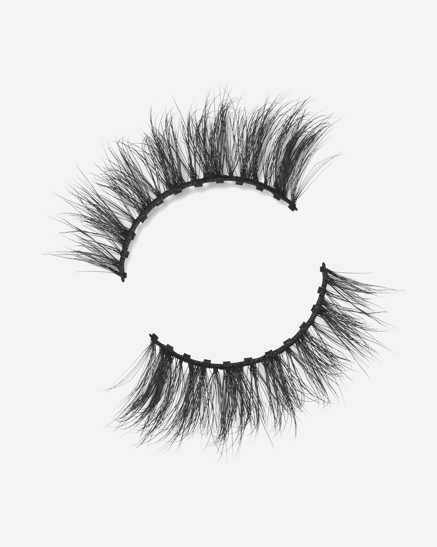 Lilly Lashes | Click Magnetic | Cause We Can