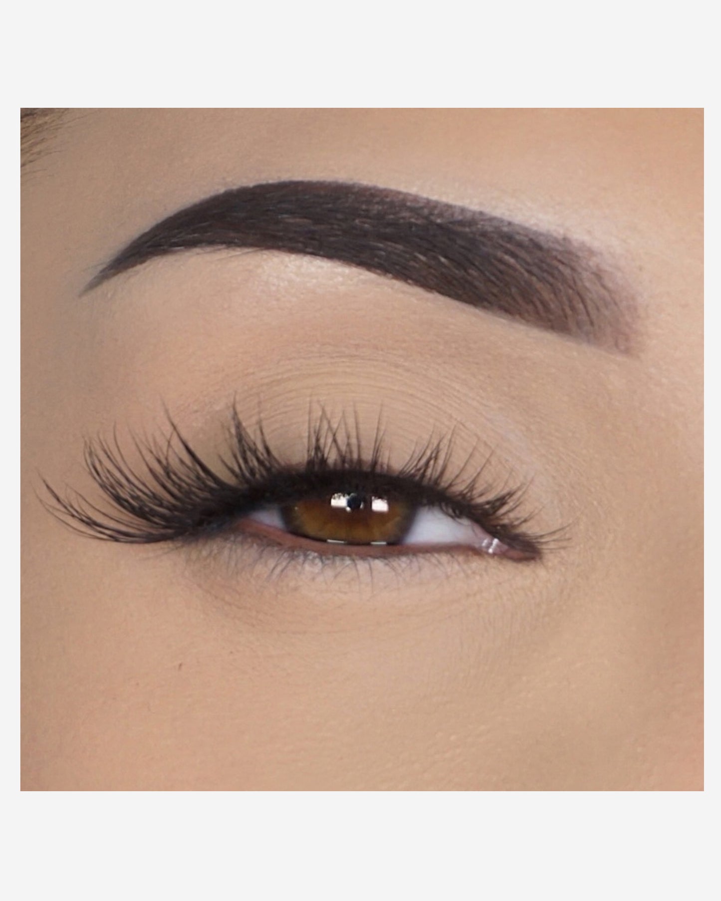 Lilly Lashes | Kit | Lite Mink | Luxe | Eye Crop