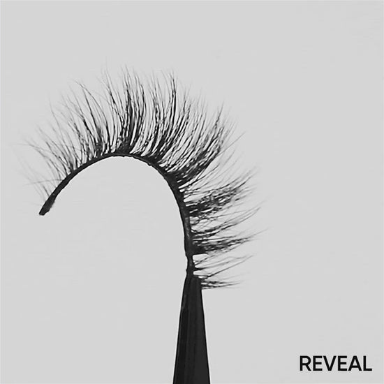 Lilly Lashes | Everyday- Reveal rotating lash